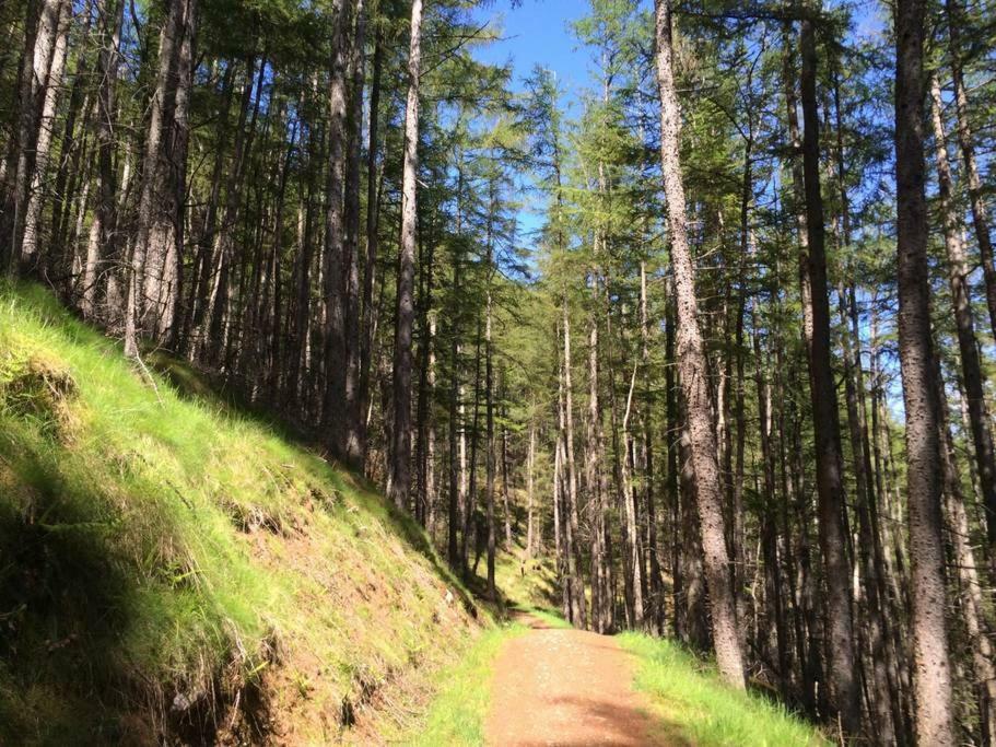 フォート・ウィリアムHighland Self Catering Retreat With Stunning Viewsアパートメント エクステリア 写真